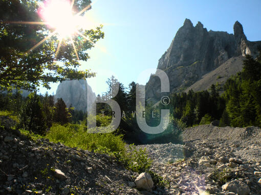 Alpine Sun Alpine Sun